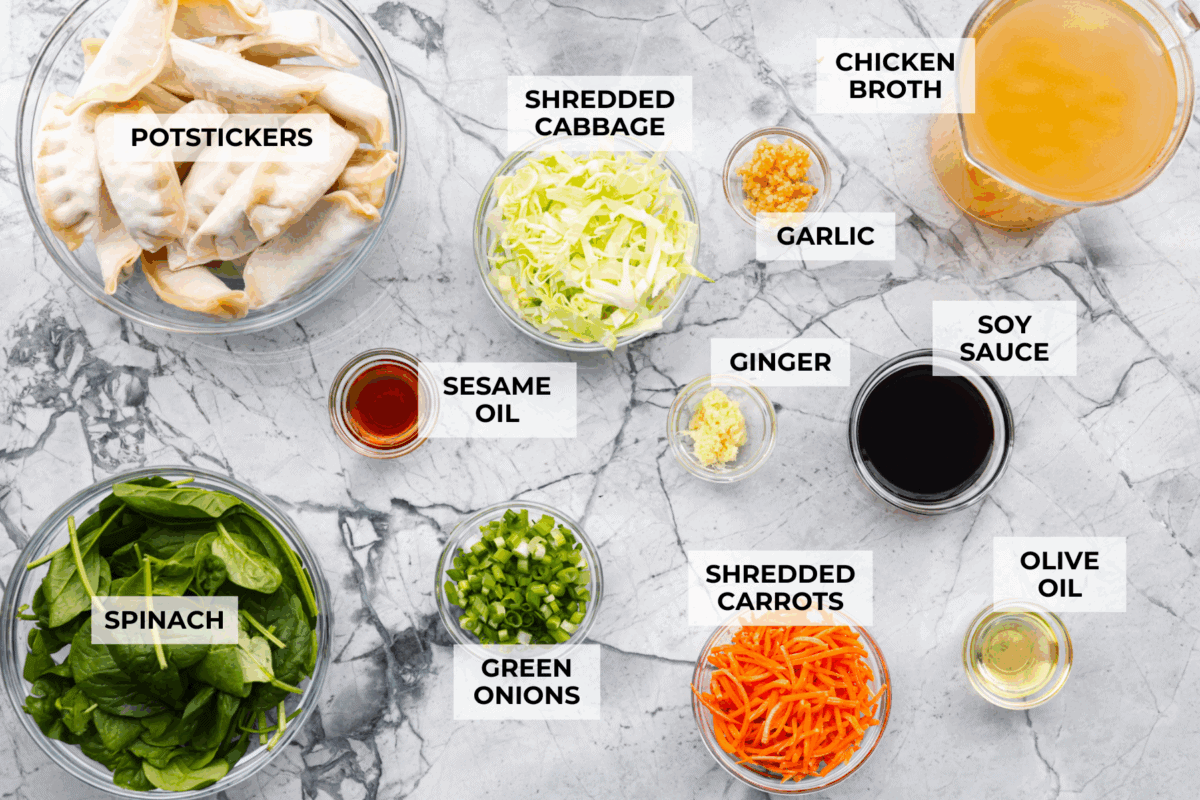 My potsticker soup is what you make when you’re busy, hungry, and need something quick that still tastes really good. All it takes is some frozen potstickers, a simple broth, and a handful of veggies! Overhead shot of potsticker soup ingredients.