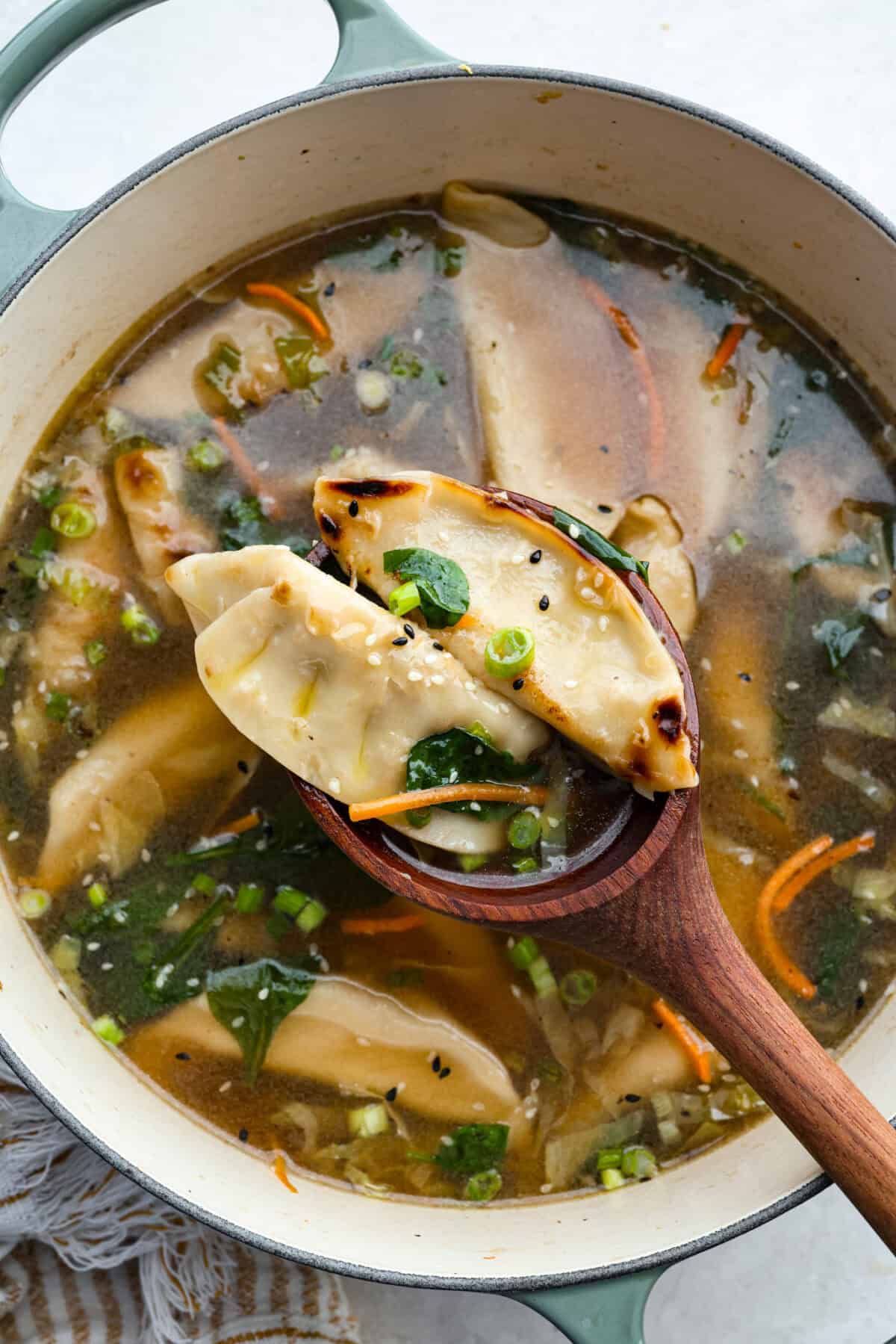 Overhead shot of someone scooping out some potsticker soup in a large wooden spoon. Overhead shot of someone scooping out some potsticker soup in a large wooden spoon.