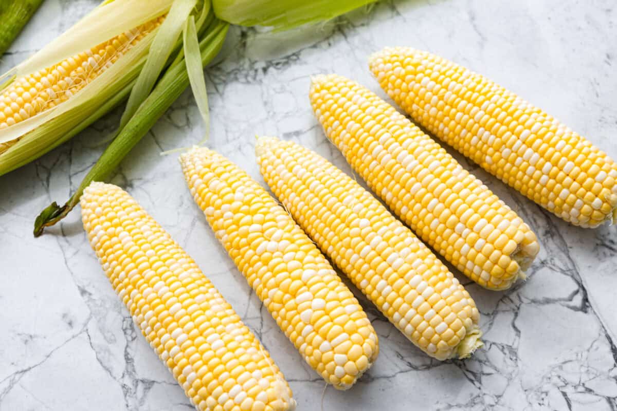 Ears of corn all lined up with their husks removed. 