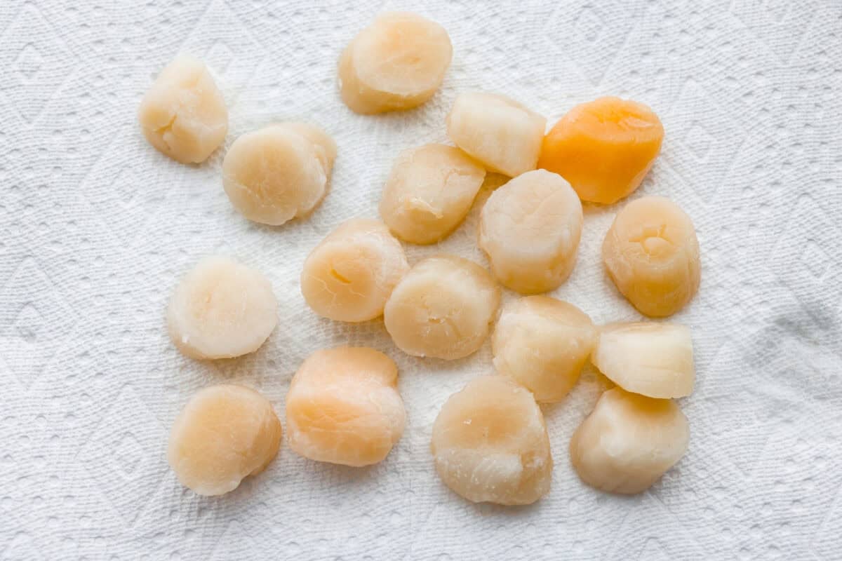 Scallops spread out on a paper towel drying. 