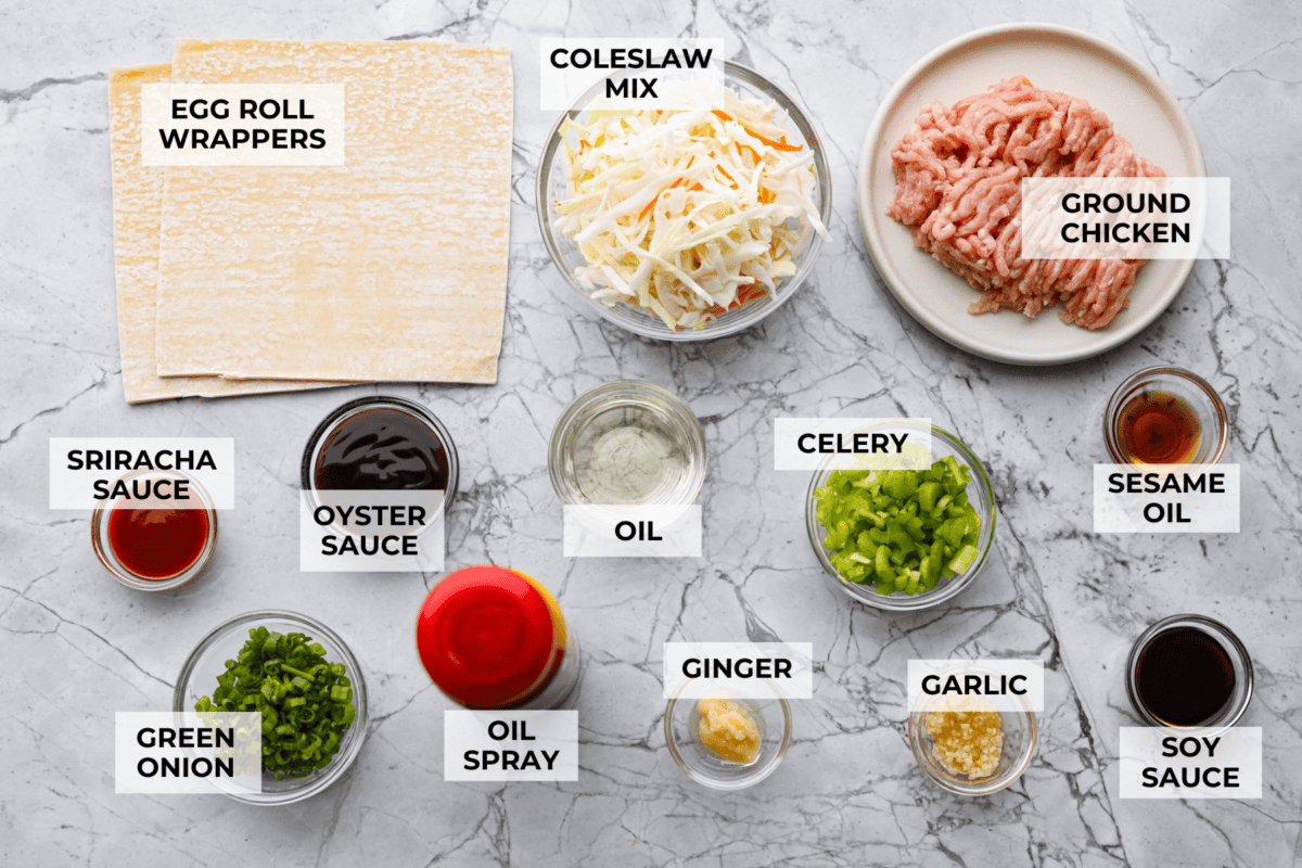 Overhead shot of labeled ingredients. 