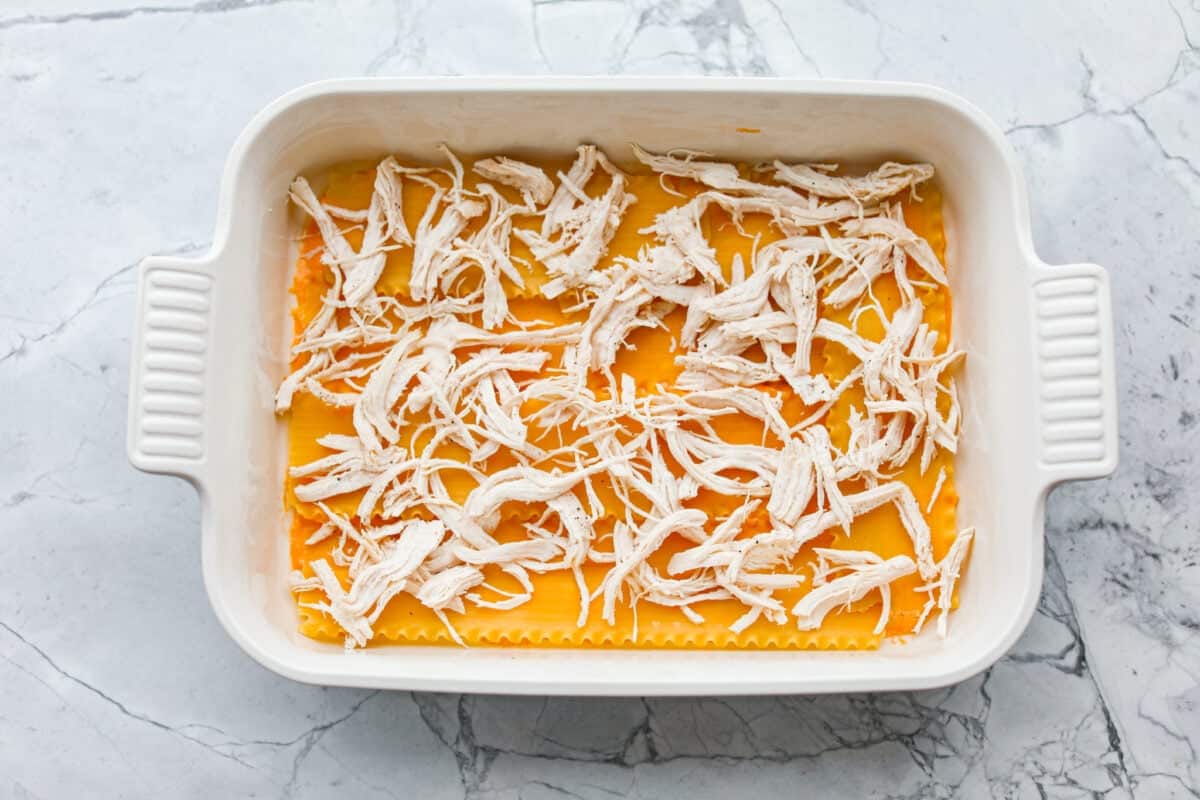 Shredded cooked chicken spread out over the noodles. 