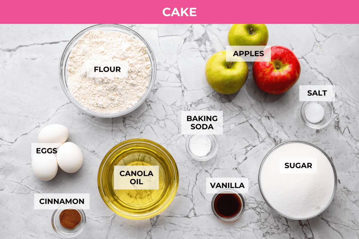 If you love cozy apple desserts, this apple dapple cake is going to be your new fall favorite. It’s packed with fresh apples and warm cinnamon, topped with a buttery caramel glaze that sinks right into the cake. Overhead shot of labeled apple dapple cake ingredients.