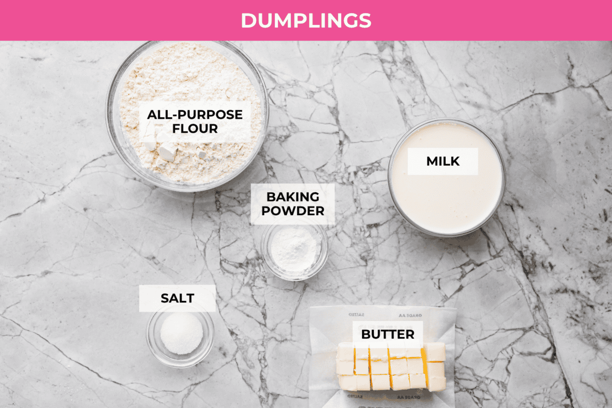 Overhead shot of labeled dumpling ingredients.