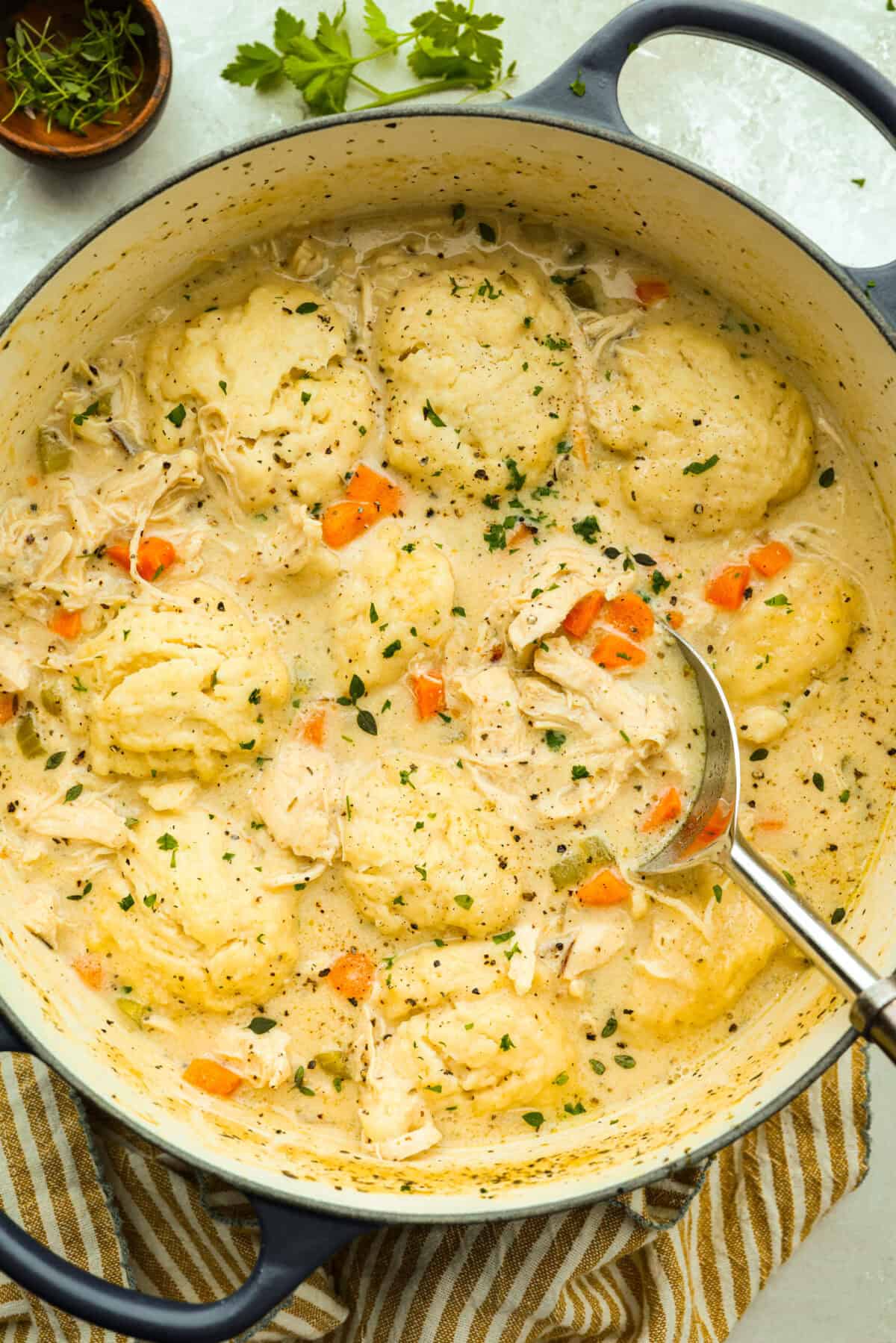 Pot of chicken and dumpling soup with a large serving spoon in it. 