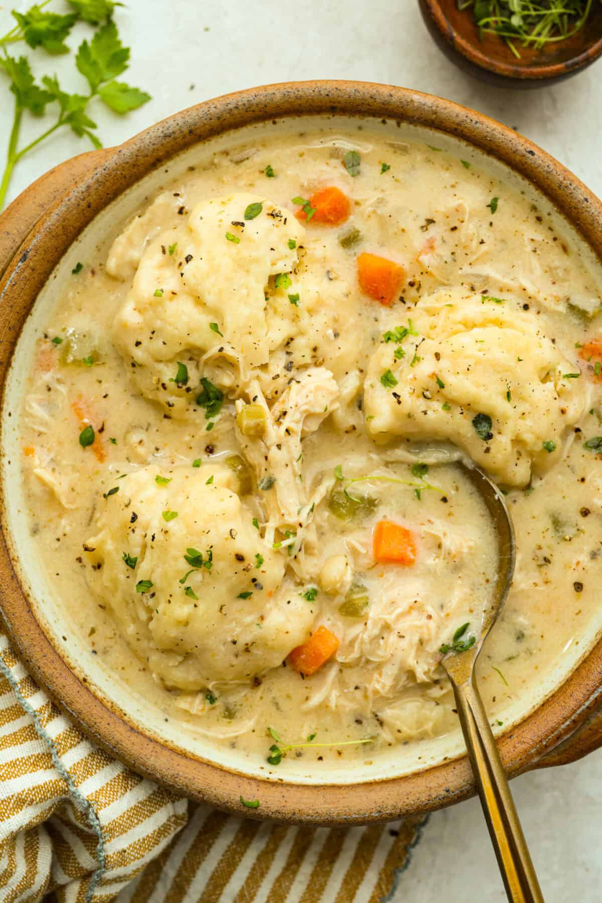 Serving bowl of chicken and dumpling soup. 